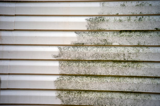 Best Storm Damage Siding Repair  in Geneva, FL