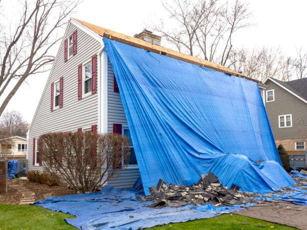 Best Historical Building Siding Restoration  in Geneva, FL